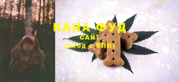 альфа пвп Горняк