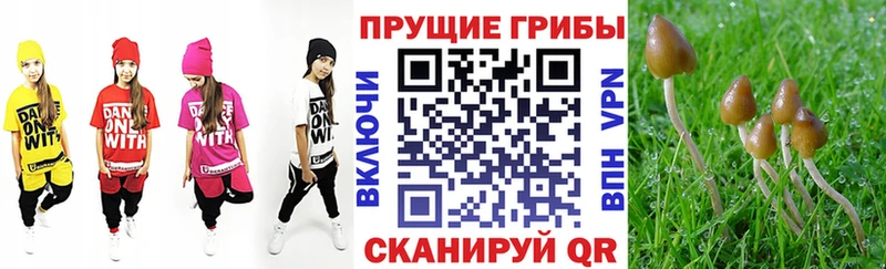 Купить Княгинино Галлюциногенные грибы прущие грибы